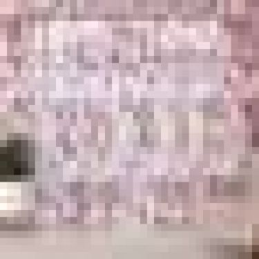 Тюль "Этель" Калейдоскоп (цвет лиловый) без утяжелителя, ширина 135 см, высота 270 см